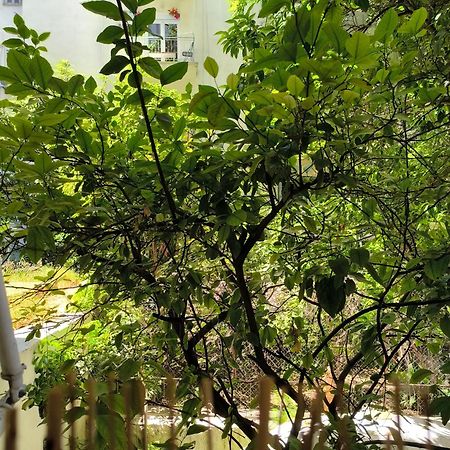Athens Nice N Easy Apartment Atenas Exterior foto