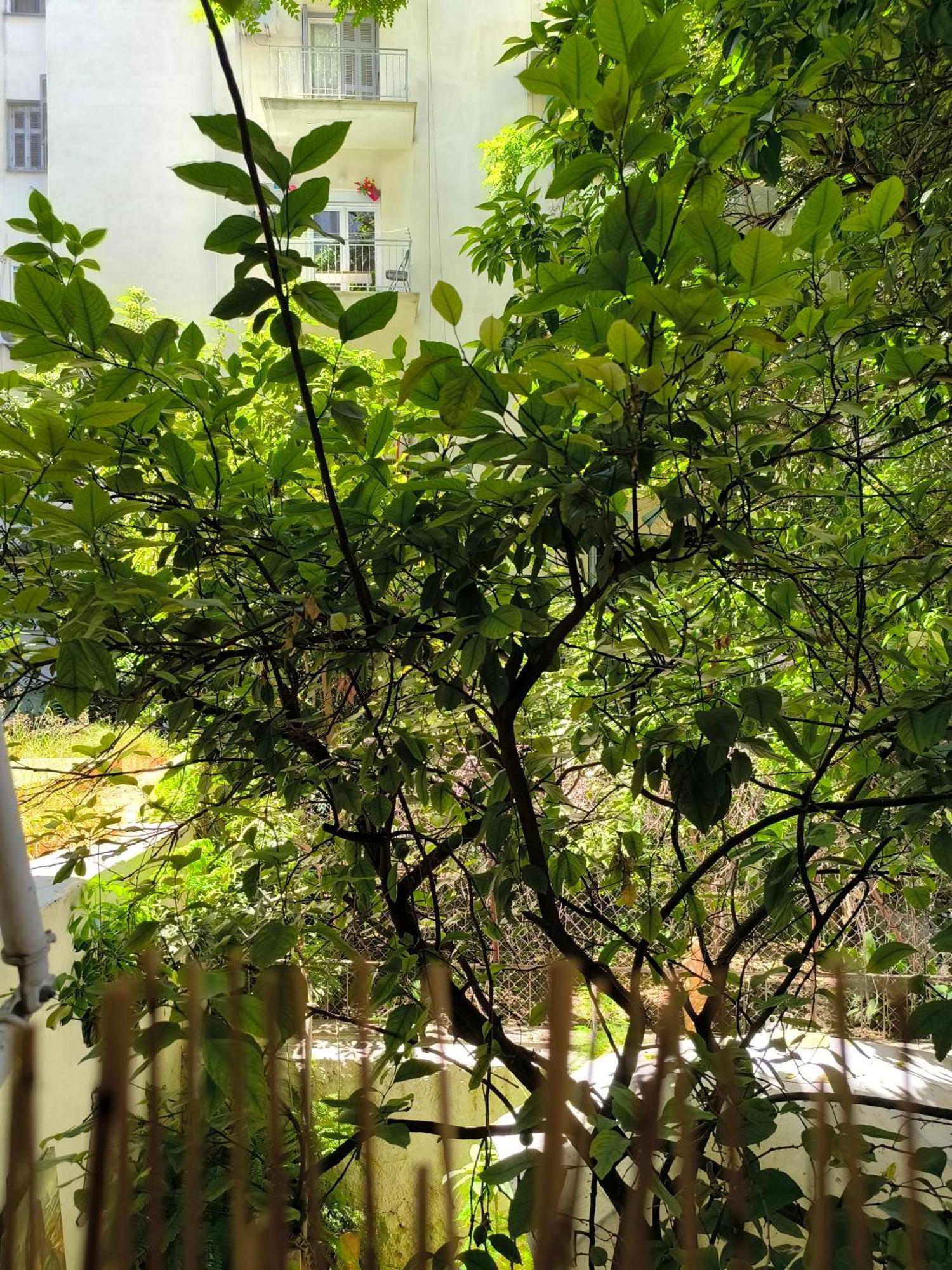 Athens Nice N Easy Apartment Atenas Exterior foto