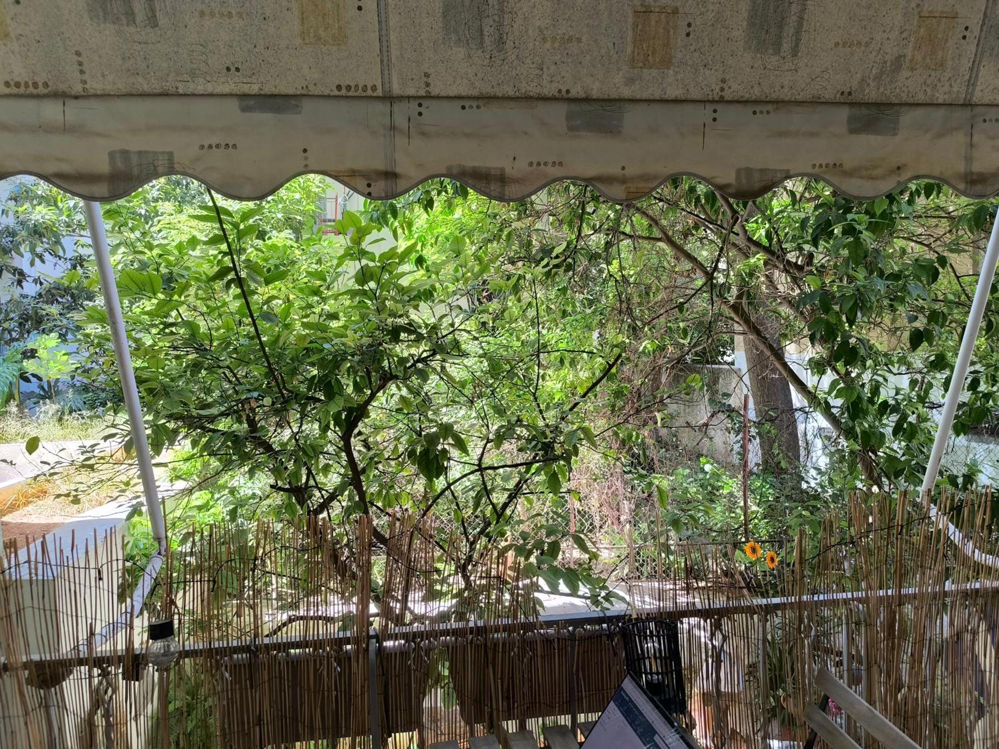 Athens Nice N Easy Apartment Atenas Exterior foto